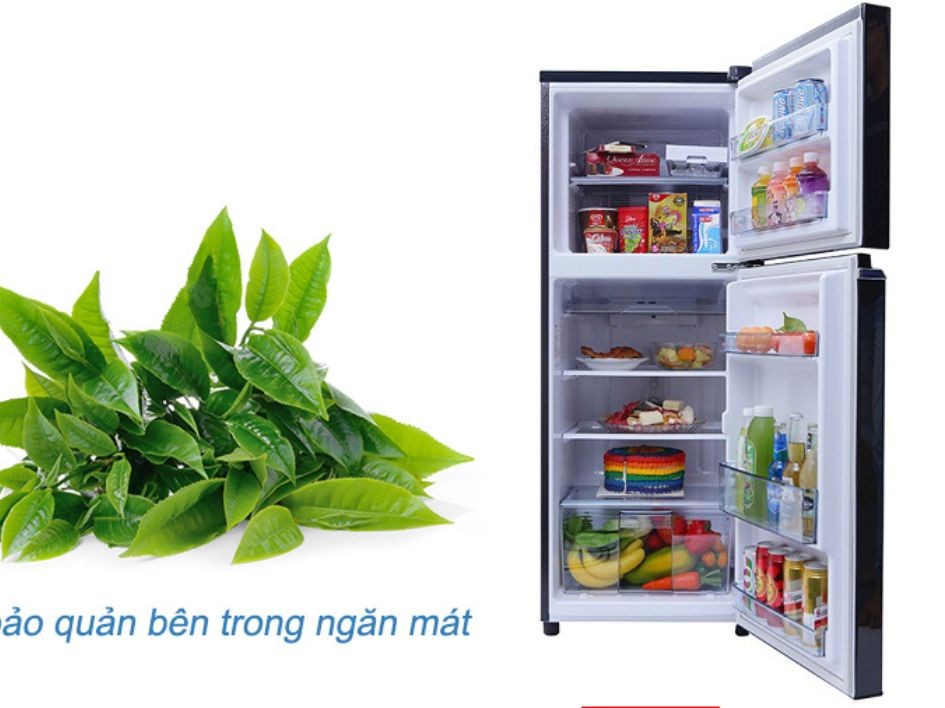 Bảo quản trà tân cương thái nguyên trong tủ lạnh