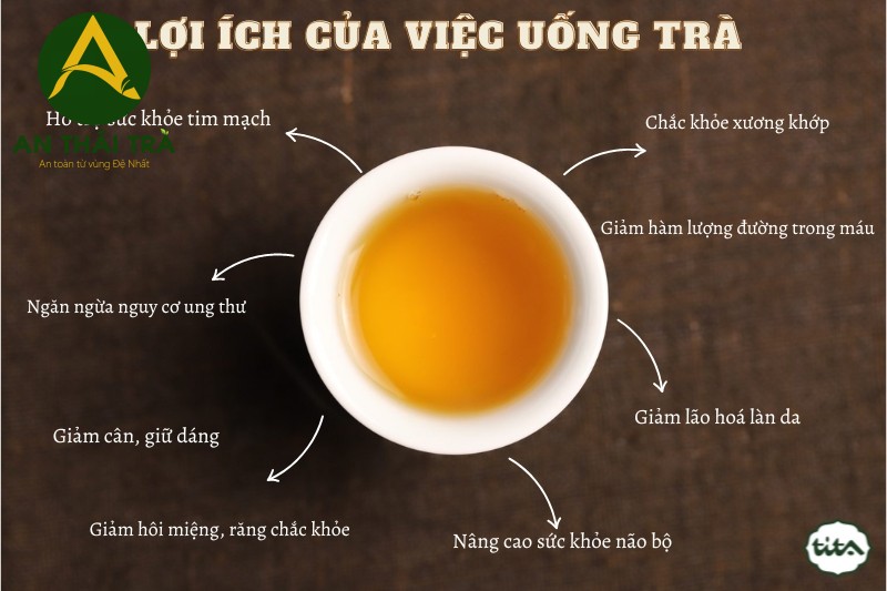 Lợi ích của việc uống trà Thái Nguyên